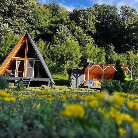 Cabane A-Frame Svinita 外观 照片