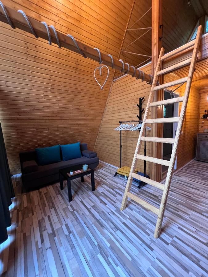 Cabane A-Frame Svinita 外观 照片