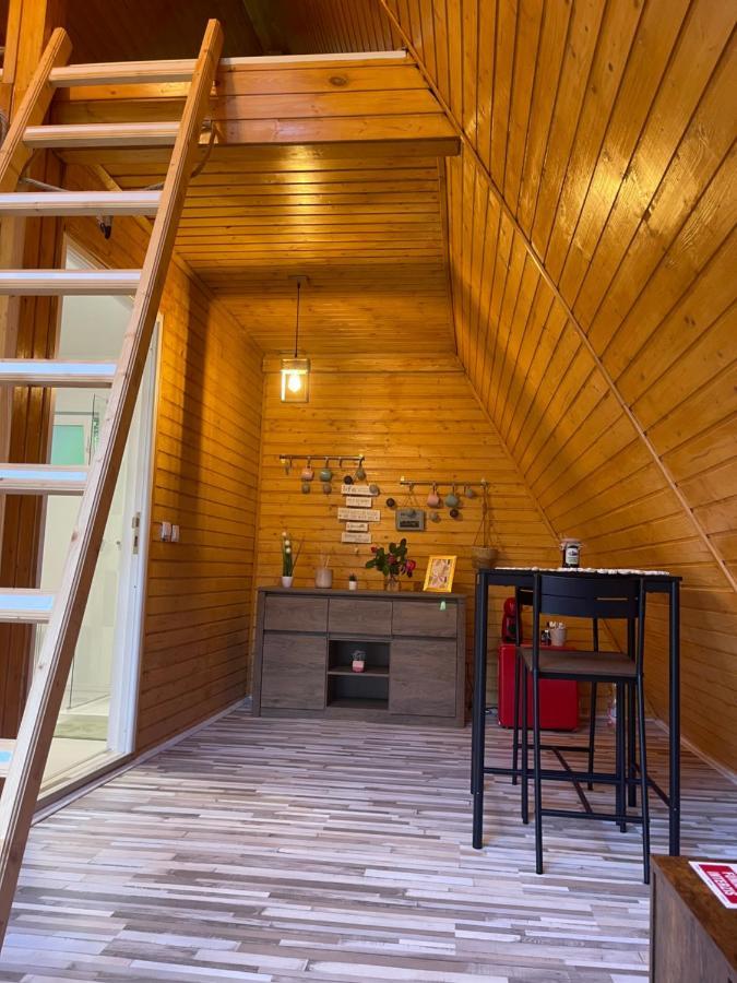 Cabane A-Frame Svinita 外观 照片