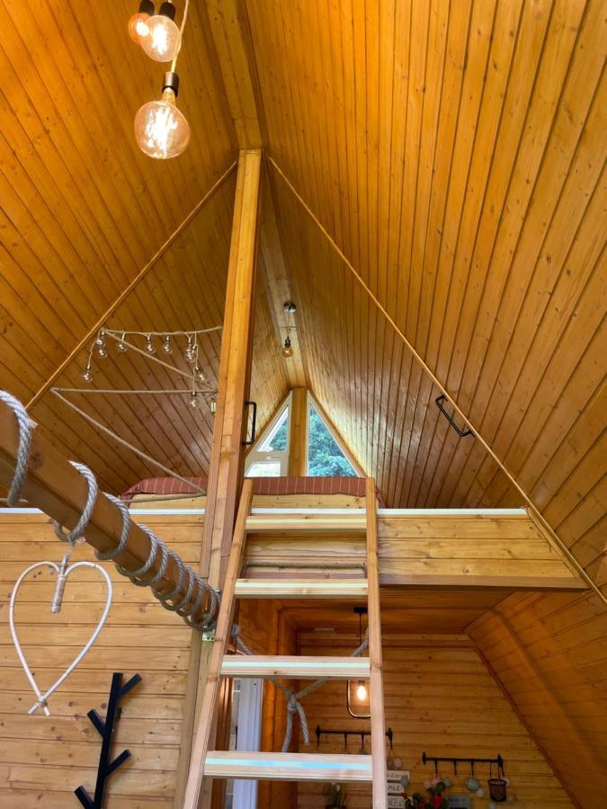 Cabane A-Frame Svinita 外观 照片