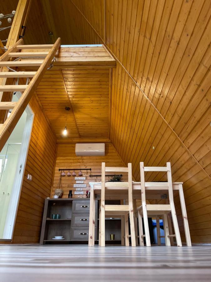 Cabane A-Frame Svinita 外观 照片