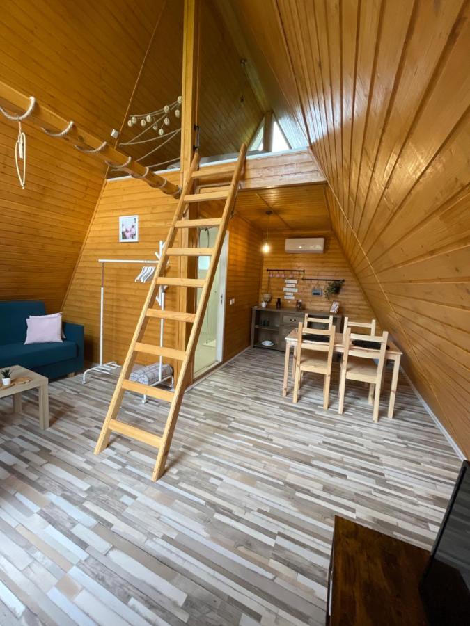 Cabane A-Frame Svinita 外观 照片