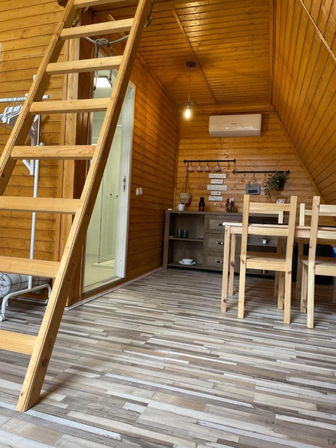 Cabane A-Frame Svinita 外观 照片