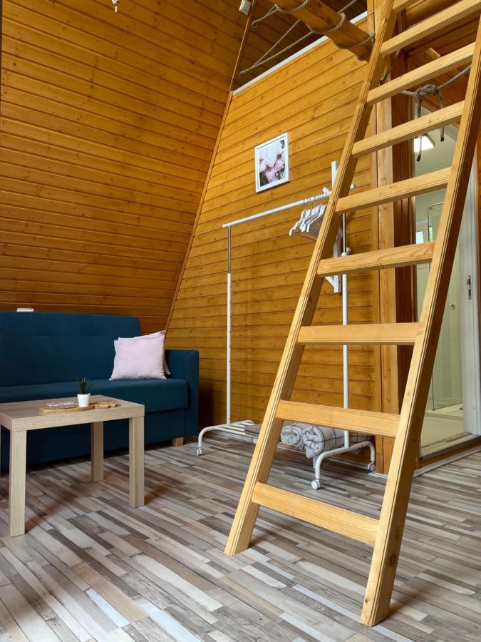 Cabane A-Frame Svinita 外观 照片