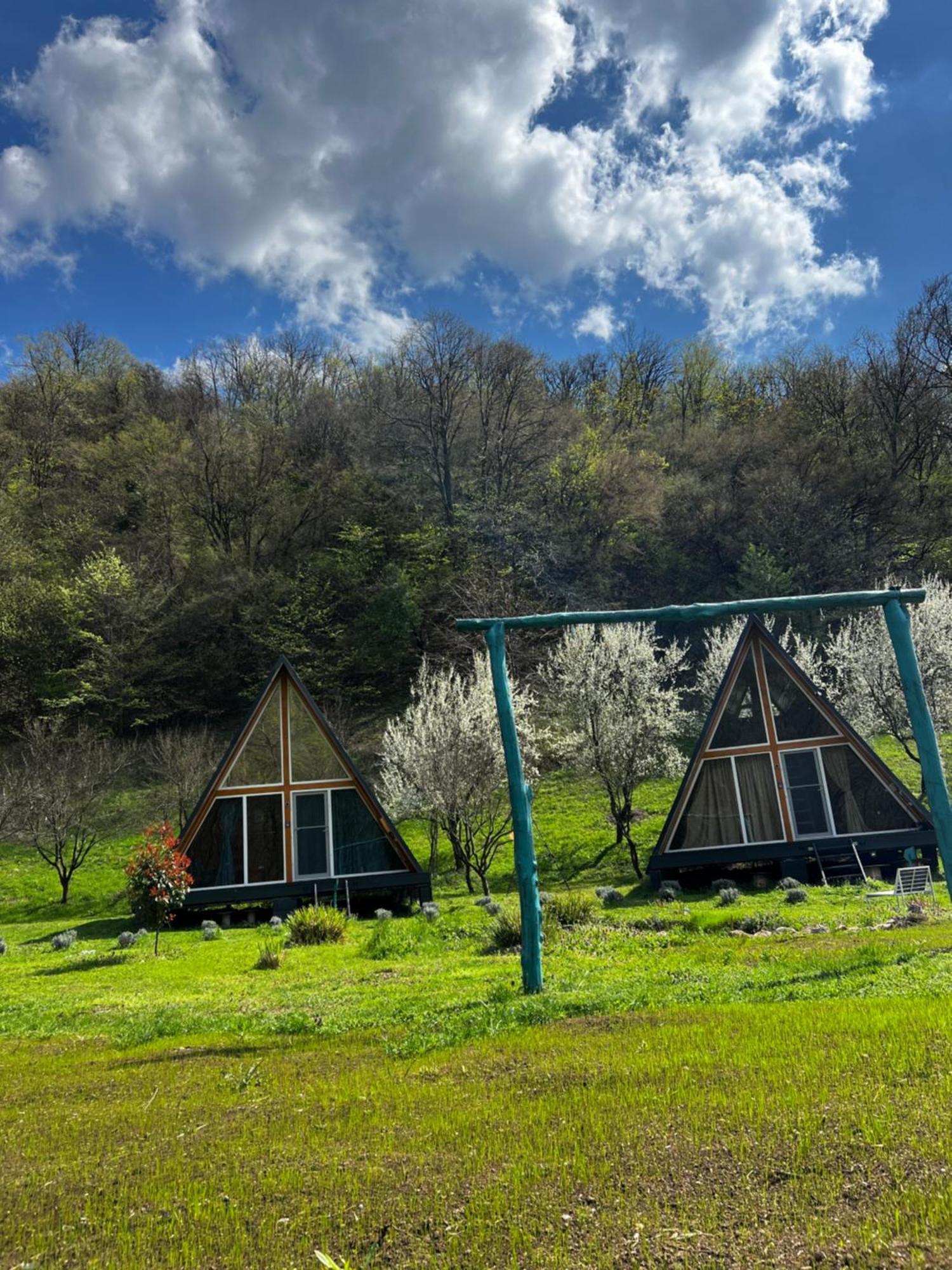 Cabane A-Frame Svinita 外观 照片