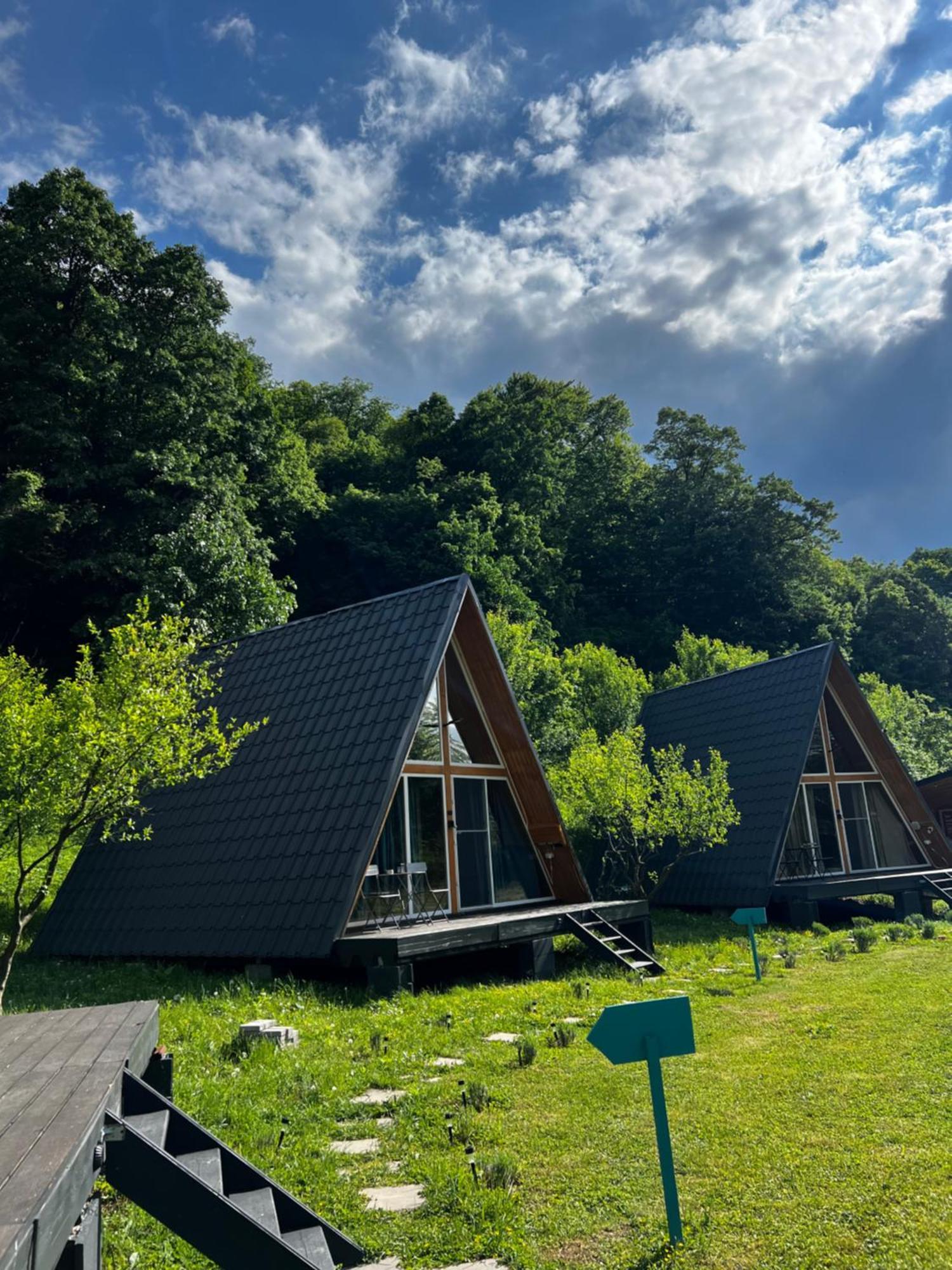 Cabane A-Frame Svinita 外观 照片