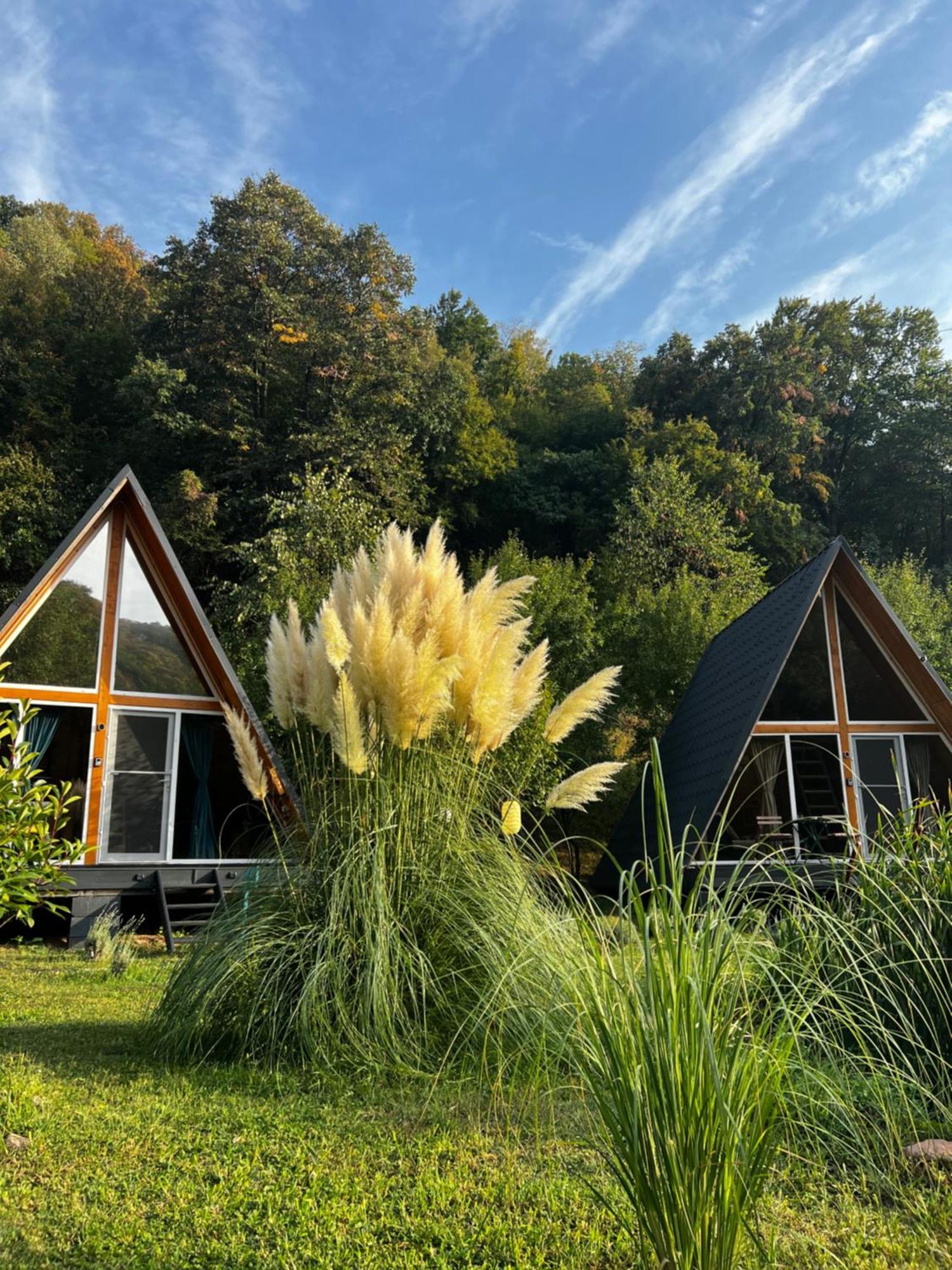 Cabane A-Frame Svinita 外观 照片