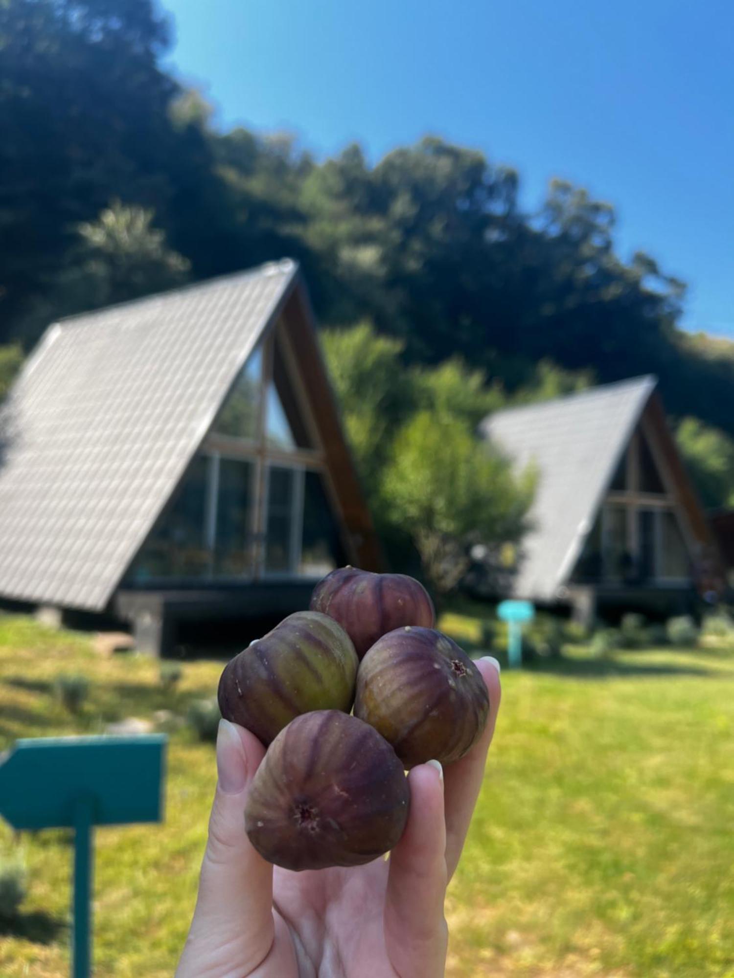 Cabane A-Frame Svinita 外观 照片