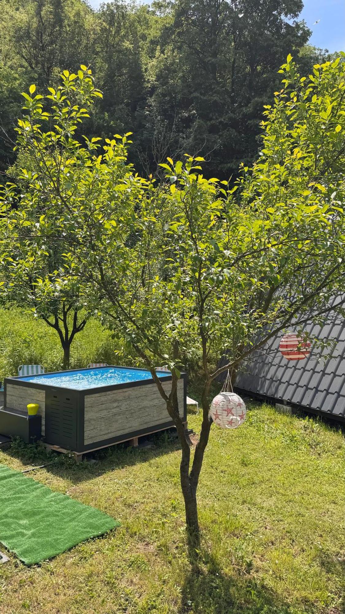 Cabane A-Frame Svinita 外观 照片